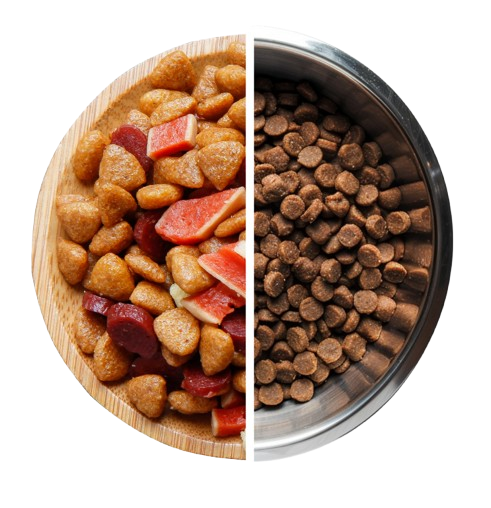 Pet Nutrition